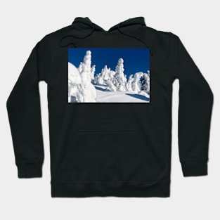 Mt Washington "Snow Ghosts" Hoodie